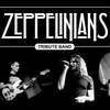 Koncert Zeppelinians & Habass