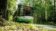 Autobusem miejskim na plażę i do kwatery Hitlera