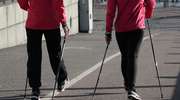 Marsz Nordic Walking ,,Cztery pory roku - lato''