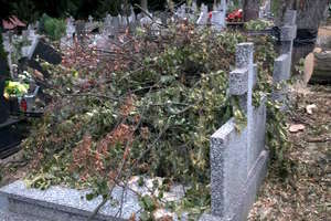 Dzisiaj gałęzie zostaną zabrane, a groby wyczyszczone - zapewnia wójt gminy Miłki