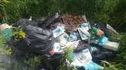 Wyrzucają śmieci gdzie popadnie. W tym roku złapano w Olsztynie już ponad osiemset osób [SONDA]