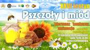 Pszczoły i miód
