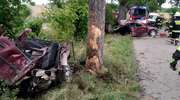 Auto rozerwane na pół, a kierowca wysiadł z niego o własnych siłach [zdjęcia]