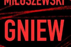Szara rzeczywistość Olsztyna