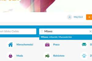 Zamówił pustaki i stracił 11 tysięcy złotych 