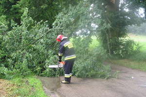 Wiatr wywraca drzewa na drogi i linie energetyczne w gminie Łukta