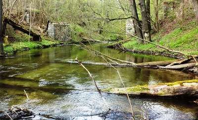 Rowerowa Obwodnica Olsztyna (29): Zobaczcie jak wije się Łyna 