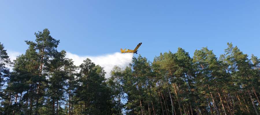 Do gaszenia lasu pod Samborowem wykorzystano dwa samoloty gaśnicze