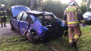 Mazda uderzyła w drzewo. Kobieta kierująca autem trafiła do szpitala
