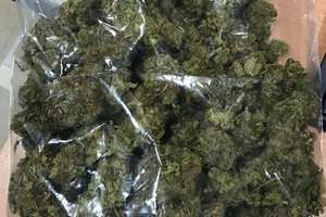 Olsztyńscy policjanci zabezpieczyli prawie 170 gramów marihuany