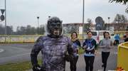 parkrun Mały Jeziorak, wersja Halloween! [ZOBACZ ZDJĘCIA] Przed nami kolejne biegi, m.in. Niepodległościowy