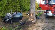 Śmiertelny wypadek na trasie Rodnowo — Tolko. Nie żyje 24-latek