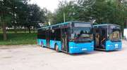 Mieszkańcy mają dość i wychodzą na ulice. Dziś pikieta w sprawie przywrócenia komunikacji autobusowej między miastem i gminą