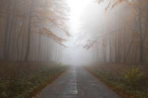 Ostrzeżenie przed mgłą wydał IMGW dla powiatu nowomiejskiego