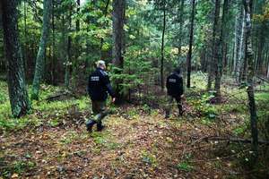 Służby przez dwie godziny szukały w lesie 86-letniej grzybiarki
