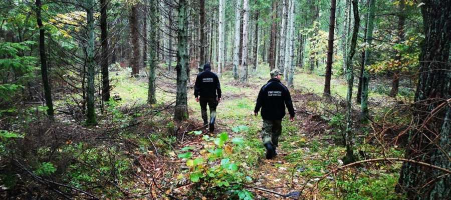 Kolejne osoby zgubiły się w lesie zbierając grzyby. Straż Graniczna apeluje o uwagę!