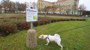 Pi(e)suary, czyli psie WC w służbie olsztyńskiej zieleni i... higieny