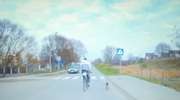 Rowerzysta z  psem na smyczy... wężykiem. Zobacz nietypowy "spacer" z psem [ VIDEO ]