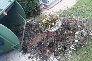 Czytelnik: w koszach na śmieci ląduje ziemia i kwiaty