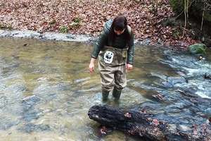 „Projekt regulacji Srebrnego Potoku jest niedorzeczny” – piszą przedstawiciele WWF - AKTUALIZACJA