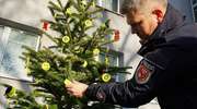 Rozbierzcie naszą choinkę na święta! Apel olsztyńskich policjantów
