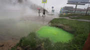Zielona ciecz wydobywa się spod ziemi w Olsztynie. Czy mamy się czego obawiać? [ZDJĘCIA, VIDEO]