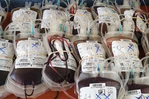 Udana akcja poboru krwi - pozyskano ponad 15 litrów cennego leku 