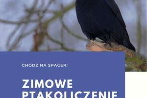 Zimowe ptakoliczenie z PTTK