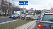 Stado dzików wstrzymało ruch na skrzyżowaniu w Olsztynie
