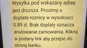 Po kilka tysięcy złotych straciły osoby, które dały się oszukać metodą na sms