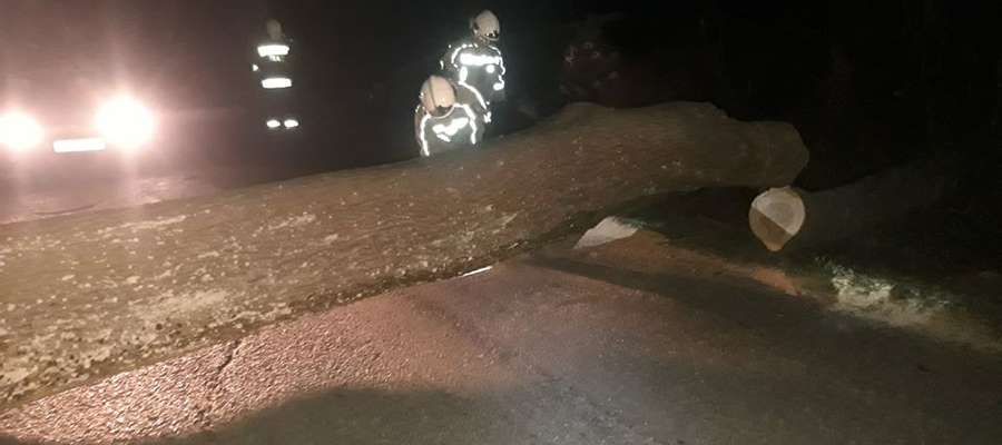 Strażacy OSP Bisztynek usuwali drzewo powalone na drogę Bisztynek-Prosity.