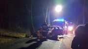 Samochód uderzył w drzewo. Dwie osoby nie żyją