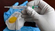 Odwołano wszystkie imprezy i wydarzenia w powiecie. Burmistrz Orzysza zawiesił przyjęcia interesantów