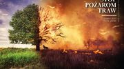 Strażacki tydzień. Pamiętaj, że wypalanie traw jest nielegalne!