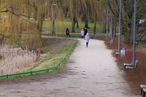 Koniec kłopotów odwiedzających olsztyńskie parki