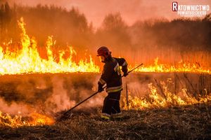 Strażacy walczą z pożarami traw