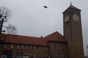  Ograniczenia kontaktów interesantów z urzędnikami