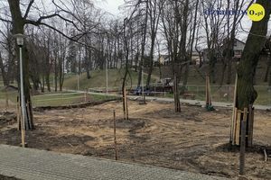 Park Honorowych Dawców Krwi z parkiem linowym i trampolinami