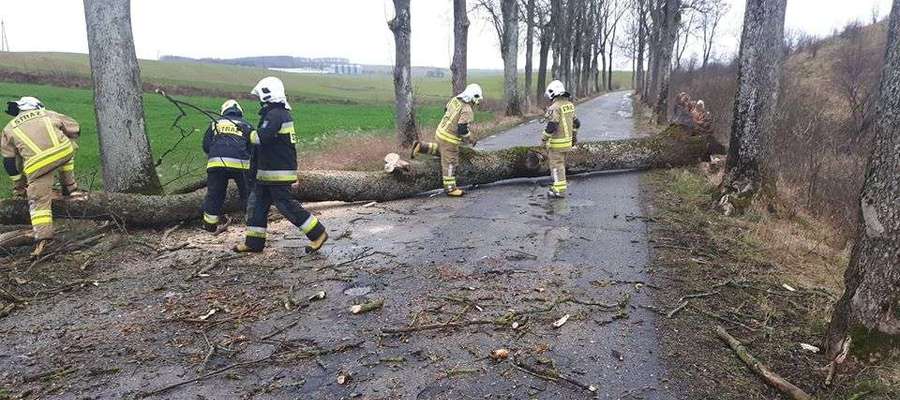 Drzewa powalone przez wiatr na drodze Bisztynek - Prosity.