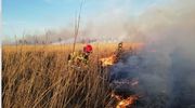 Giżyccy strażacy pomagają gasić pożar w Biebrzańskim Parku Narodowym