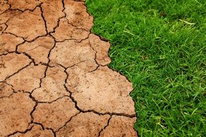 Światowy Dzień Ziemi. Każdy z nas może zadbać o środowisko naturalne
