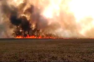 Strażacy z Ostródy pojechali gasić pożar w Biebrzańskim Parku   Narodowym 