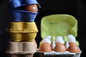 Zamieszanie wokół jajka – obalamy mity