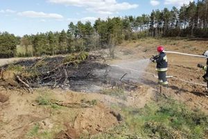 Pożar w Gruszce - zagrożony las