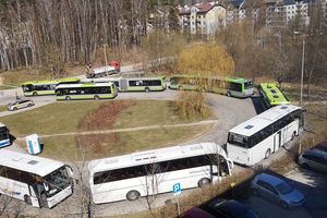 Kilkanaście autobusów na jednej z olsztyńskich pętli. 