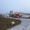Kolejny pożar kurników. Strażacy uratowali mienie o wartości 5 milionów złotych