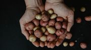 Obierki po ziemniakach: nie wyrzucaj! Zobacz, jak wykorzystać obierki z ziemniaków i być ZEROWASTE 
