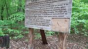 Zniszczona leśna ścieżka edukacyjna. Został za to napis "kocham Krzyśka"...