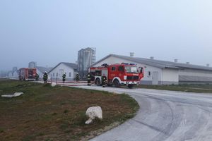 Kolejny pożar kurników. Strażacy uratowali mienie o wartości 5 milionów złotych