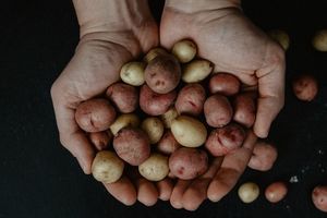 Obierki po ziemniakach: nie wyrzucaj! Zobacz, jak wykorzystać obierki z ziemniaków i być ZEROWASTE 
